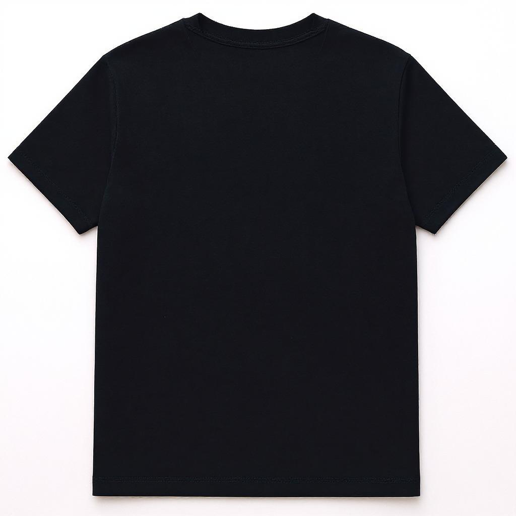 tshirt japon.